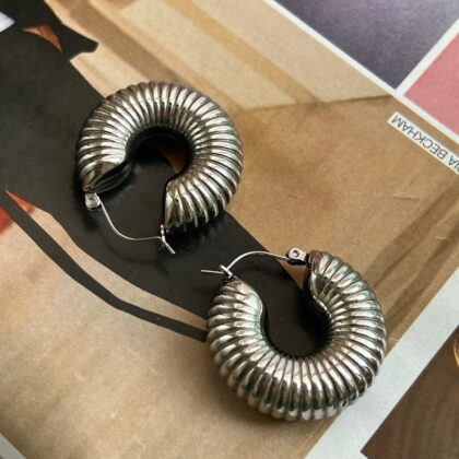 Minđuše Massive Snake Silver (3 cm)