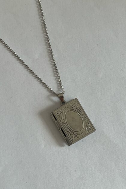 Medallion Ogrlica Nora Silver (40+5 cm)