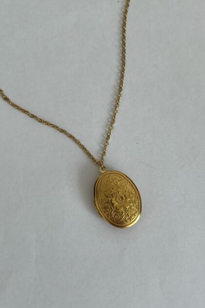 Medallion Ogrlica Danna (40+5 cm)